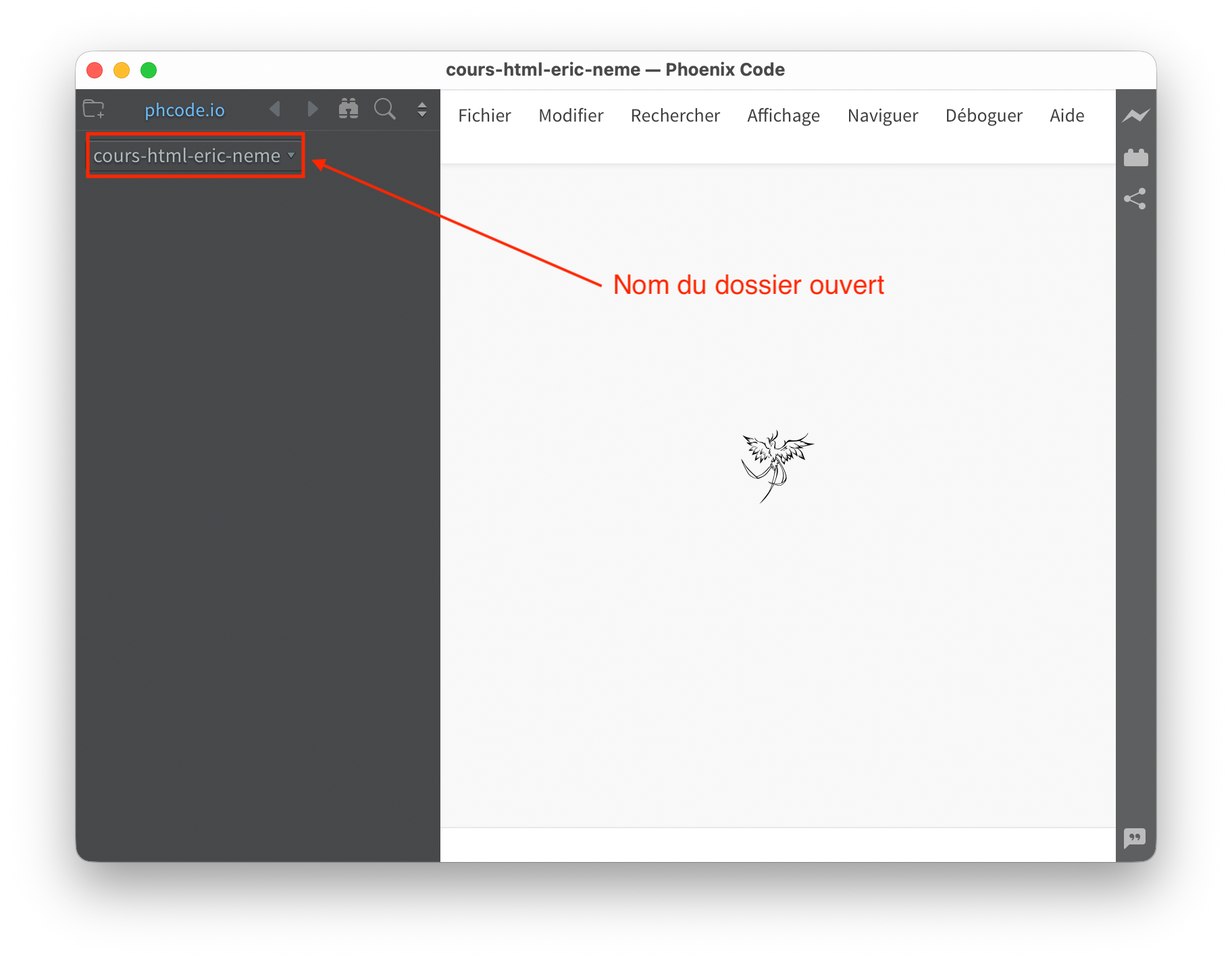 Affichage du dossier ouvert dans Phœnix Code